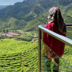 Meet your Posher, Sheeza